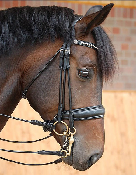 BRIGLIA DRESSAGE DY'ON Top Line Royal Morso e Filetto 